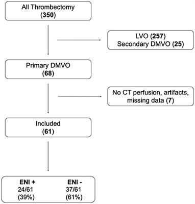 Early Neurological Improvement Predicts Clinical Outcome After Thrombectomy for Distal Medium Vessel Occlusions